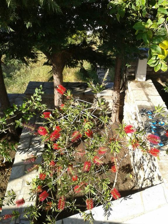 Ioanna'S Βίλα Πάνορμος Εξωτερικό φωτογραφία